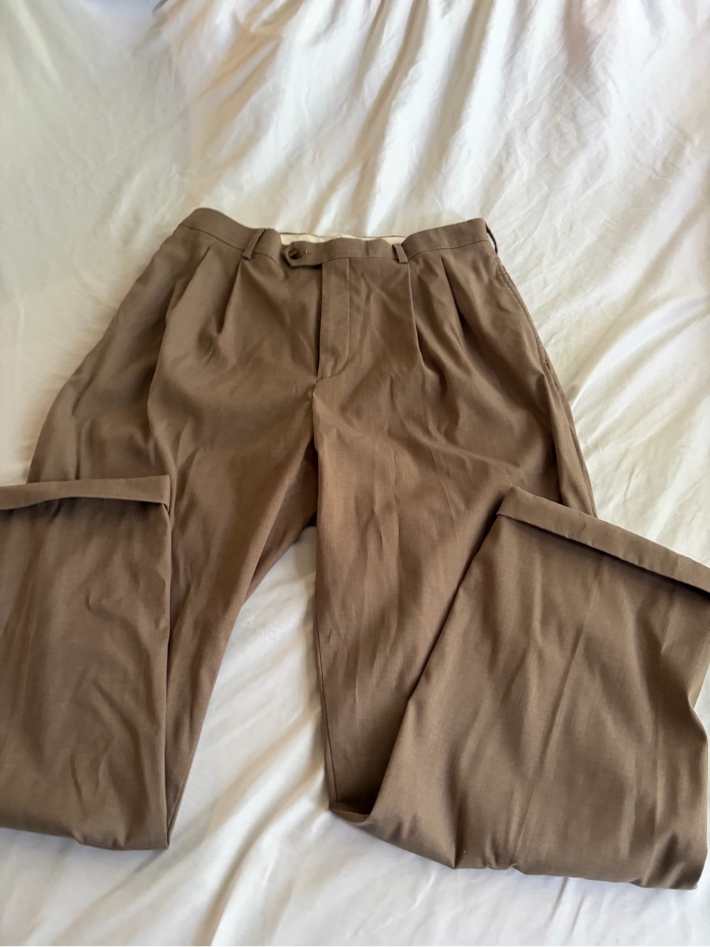 Roundtree & Yorke Men's Pleated Dress Pants in Brown Approx. 32x29